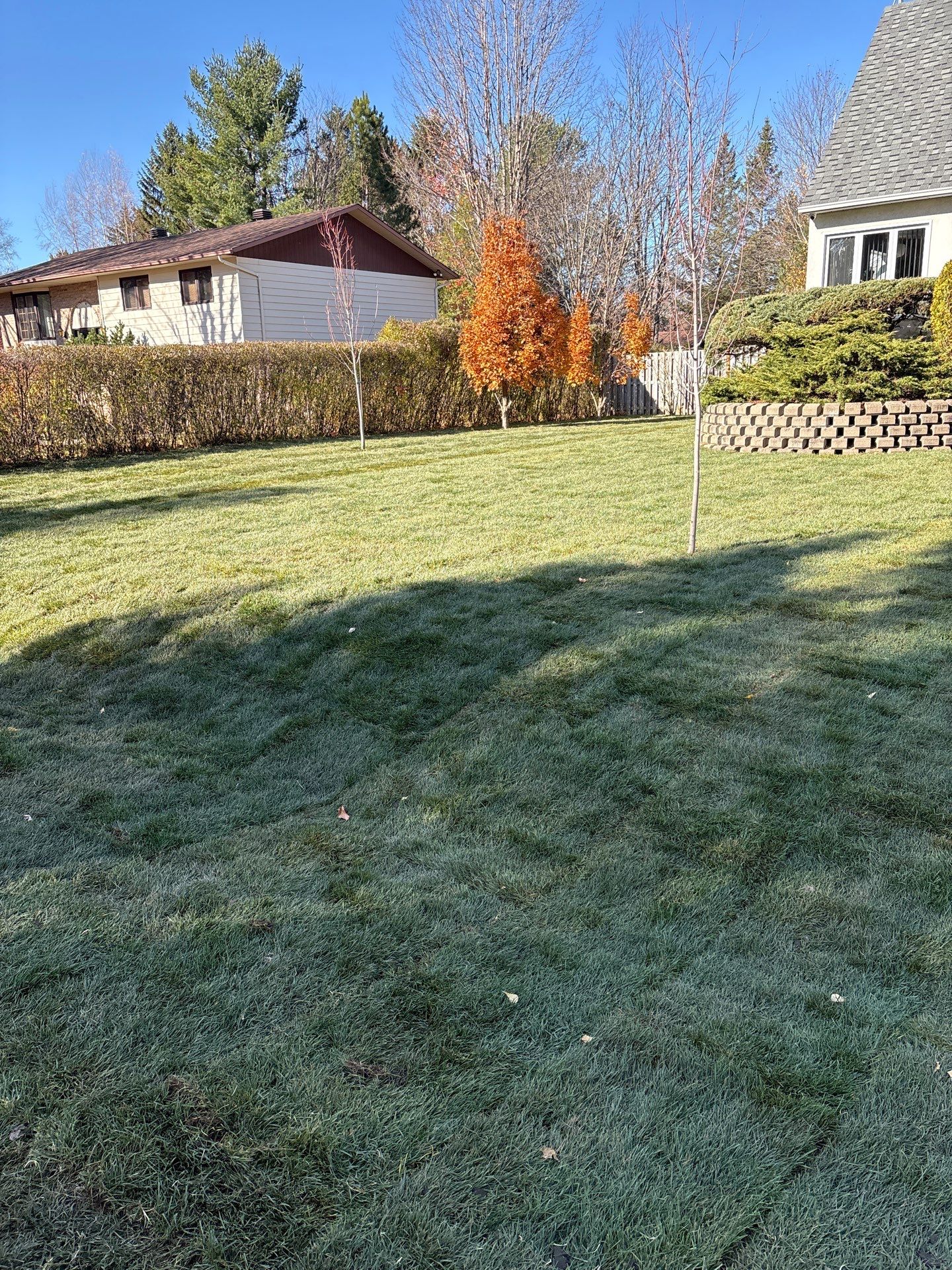 Professional Landscaping